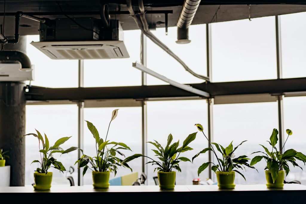 Commercial Air Conditioning for Auckland Offices and Retail: What System Do You Need?